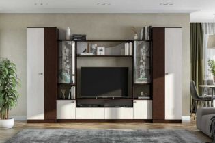 Мебель для гостиной МГС 8